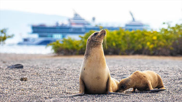 Celebrity Cruises Galapagos