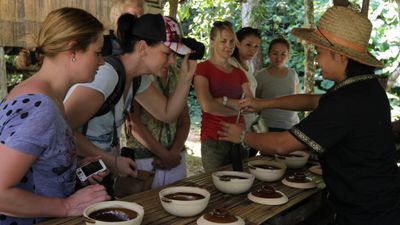 EF Go Ahead Tours says its new culinary itineraries can introduce travelers to different cultures through food.