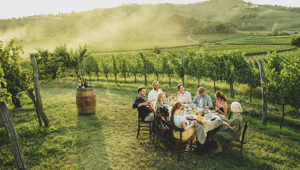 Goriska Brda Wine Region, Slovenia