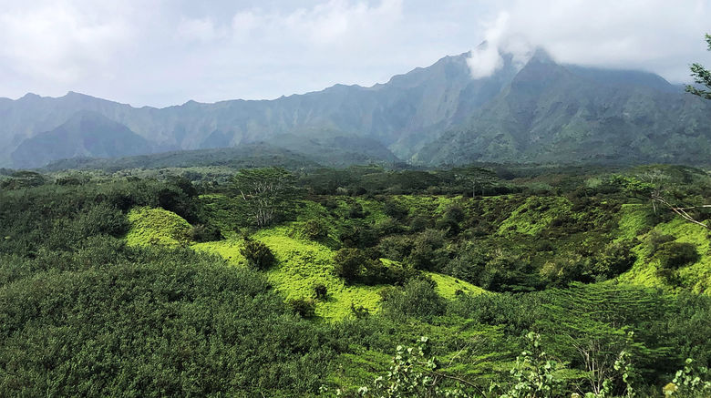 Kauai, the Garden Isle